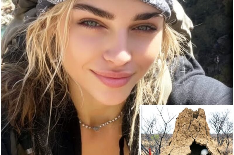 Turista zmizel v Arizoně — o 7 let později byl nalezen jako součást obrovského termitiště…