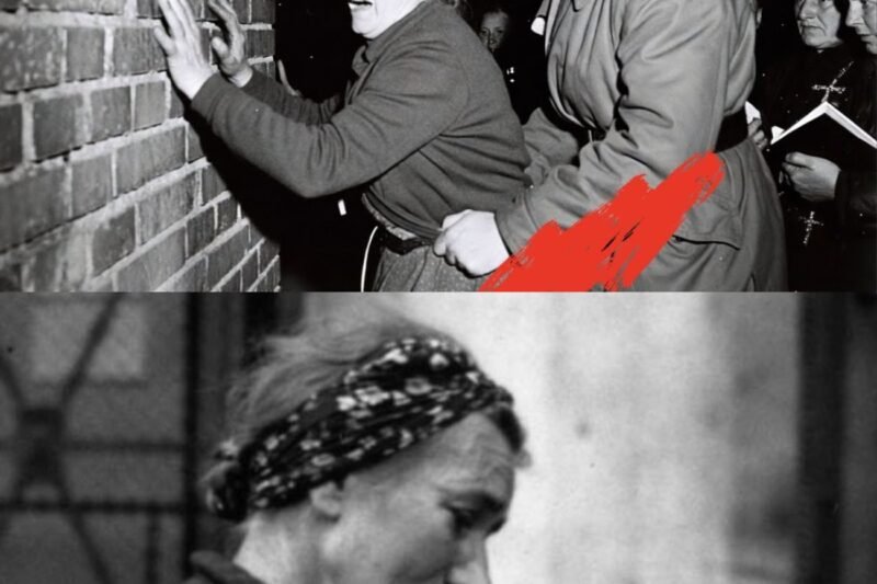 25.Apríl 1945 visel na Kantstrasse v berlínskej štvrti Charlottenburg vôňa síry a smrti. V tme suterénu číslo 17 upravila 72-ročná Margarete Adler svoje sivé vlasy.