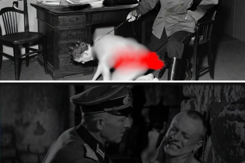 “Choďte do toho” – prečo vojaci poslali “ružových chlapcov”, aby prešli mínovými poľami