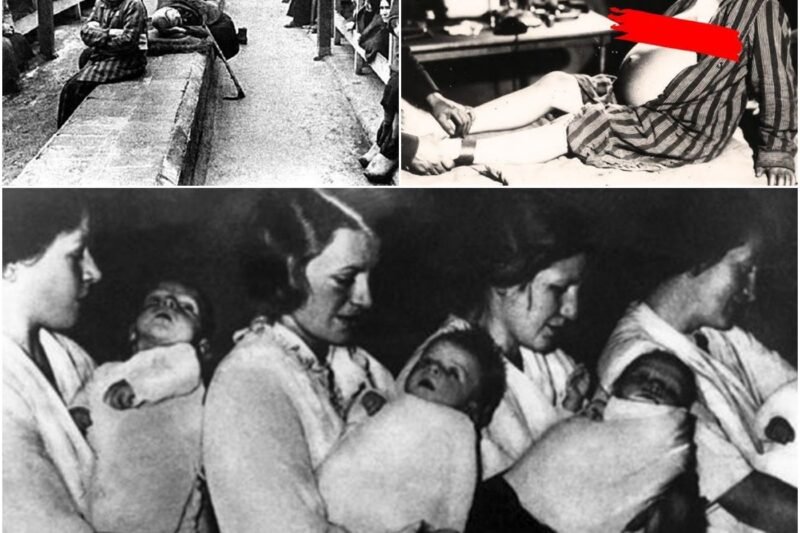 Otrasné svedectvo o bizarných a odporných experimentoch