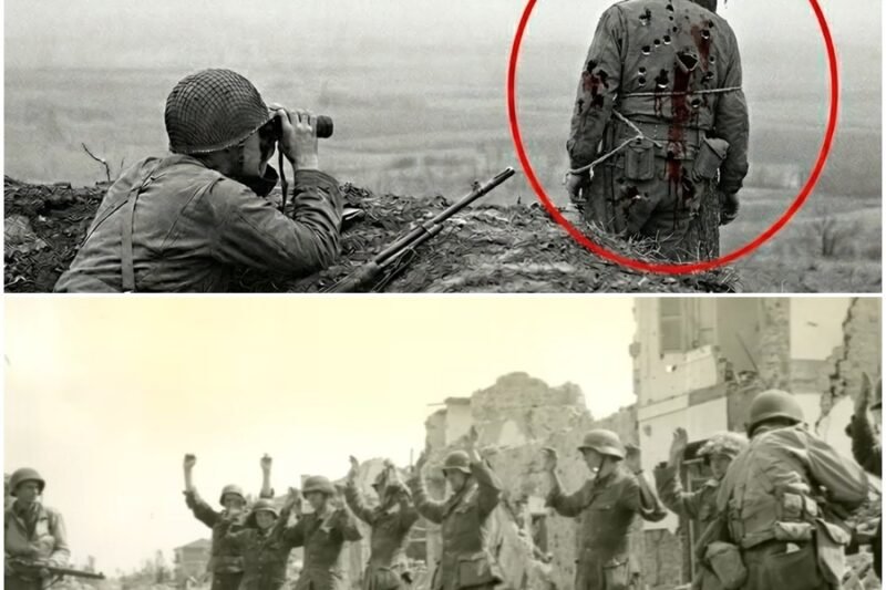 Ako osamelý 20-ročný mladík nalákal nepriateľa do smrtiacej pasce, premenil sa na živú návnadu v zamrznutých poliach a spustil reťazovú reakciu, ktorá rozbila elitnú nemeckú jednotku, zmenila osud jeho jednotky a zanechala po sebe jeden z najneuveriteľnejších príbehov o prežití z druhej svetovej vojny, ktorý bol ticho pochovaný časom.