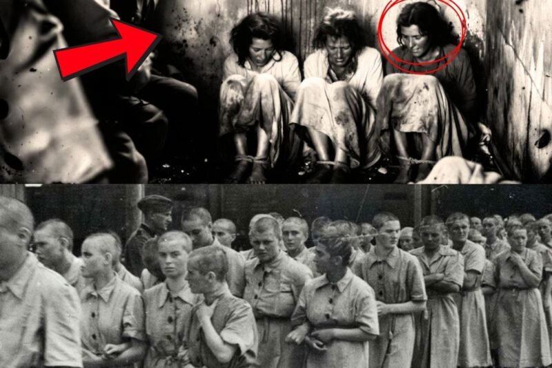 71 dní v rukách nemeckých vojakov. A krutá pravda, ktorú sa snažili vymazať…