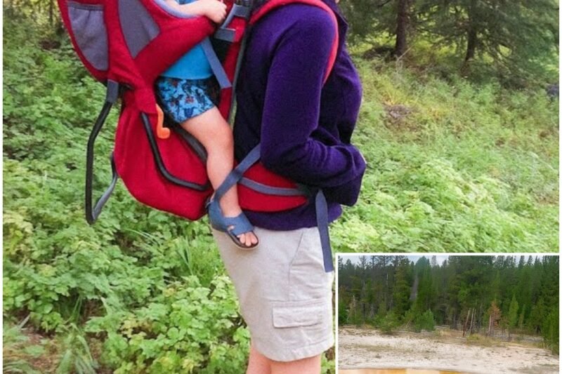 Mama a batoľa zmizli v Skalnatých horách, o 6 rokov neskôr to, čo sa našlo, stále prenasleduje miestnych obyvateľov…