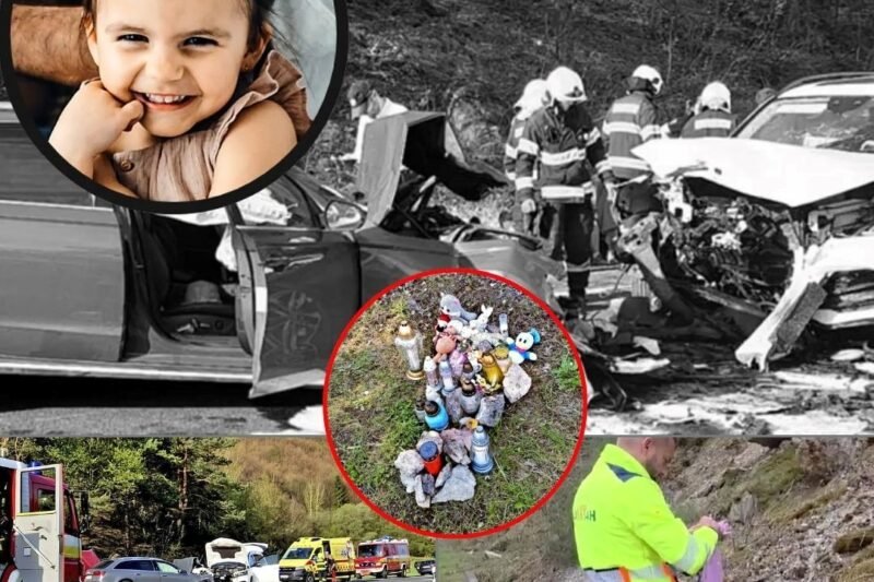 Pri čelnej zrážke dvoch áut prišla o život malá Sofinka († 5) z Brezna. Jej sestrička Natálka (3) ostala pripútaná na invalidný vozík, následky na zdraví majú aj rodičia Karol a Timea. Dočkajú sa konečne spravodlivosti? Odkaz na novinky v komentároch 👇