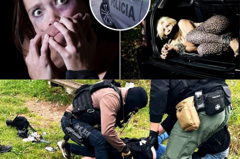 Horor na strednom Slovensku: Z internetovej známosti sa vykľul agresívny tyran.