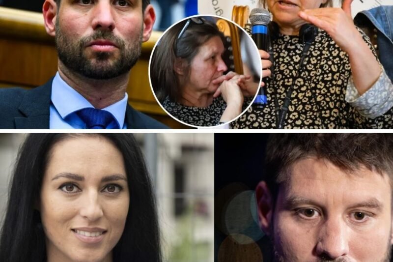 DEFINITÍVNY KONIEC TAJOMSTIEV? Európska ombudsmanka odhalila šokujúce pozadie miliónových dotácií Šimečkovcov…