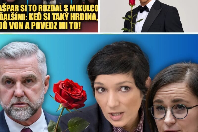 Gašpar sa rozčertil v televízii: Opozičnú poslankyňu Mesterová poslal do Ruže pre nevestu